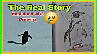 The Real Story Behind the Viral 'Depressed Penguin' &ndash; Explained with My Drawing! 🐧💔