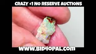Stunning Lightning Ridge Multicolour knobby opal rough &pound;1 no reserve !!! listed on www.bid4opal.com