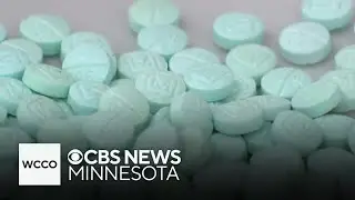 A key piece of legislation to help combat fentanyl passed in the senate