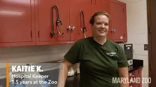 National Zoo Keeper Week - Zoo Misconceptions