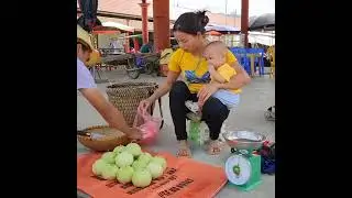 Harvesting melons buying milk a mother's daily struggle