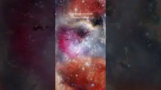 In The Cosmic Theater #shorts #cosmic #quotes
