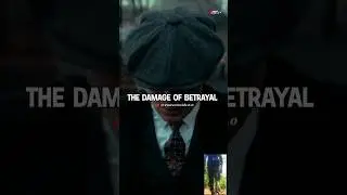 The Damage Of Betrayal🔥💪 Motivational Quote👿Thomas Shelby Status #shorts #sigma #yt