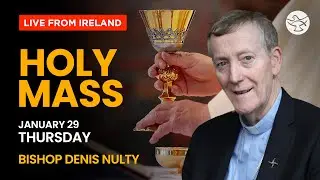 Holy Mass | 29 January 2026 | Bishop Denis Nulty | SS. Peter & Paul's Church I Live from Ireland
