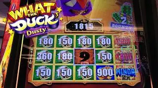 MAX BET!🦬Buffalo Instant Hit🦬 | What the Duck Free Spins