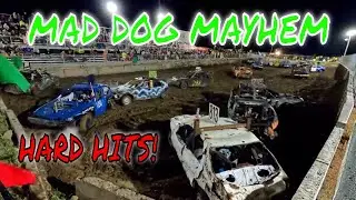 MAD DOG MAYHEM (MIDSIZE)