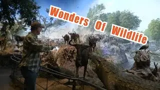 Wonders of Wildlife Museum and Aquarium Tour