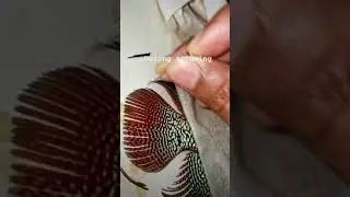 Indonesian cencu fin trimming update!
