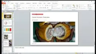 Cocoa Horizons Training
