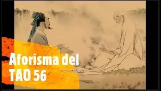 AFORISMA 56