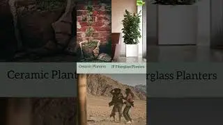 JP Fiberglass Planters vs Normal Planters  #frpplanters #durabledesign #plants #fiberglassplanter