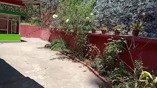 Triple Bedroom Homestay with kitchen 8508020060