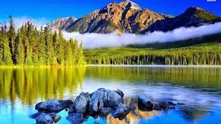 Shades of Nature !!! A video which will bring you close to nature