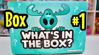 What's In The Box? from Moose Toys Box #1