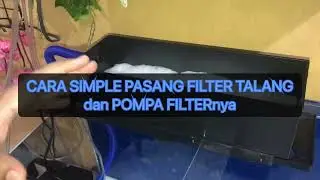 CARA MUDAH PASANG BOX FILTER & POMPA FILTER AQUARIUM