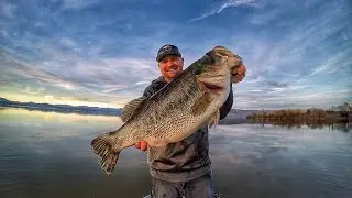 Top 5 Best lakes to Bass Fish in Texas- Travel Guide