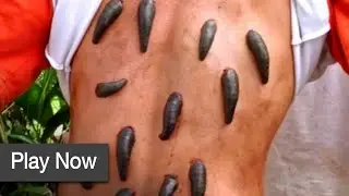 Anacondas 2 (2020) Bloodsucking Leeches Scene (2/10)  | Movieclips | All Time Entertainment