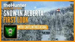FIRST LOOK at Snow in Alberta with @CaitlintheCasual