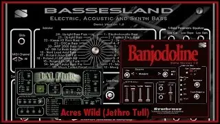 Acres Wild (Jethro Tull) Bassesland Fretless Bass, Banjodoline Acoustic Electric Mandolin, Flute VST