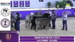 2026 Cattleman's Congress - Braunvieh Open Show