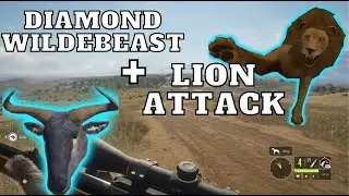 DIAMOND Blue Wildebeest on Vurhonga Hunt! | theHunter: Call of The Wild