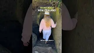New Zealand&rsquo;s SECRET Beach 🤯 #nztravel #newzealand #travelnewzealand #dunedin #newzealandtravel