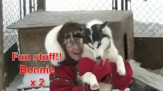Manitou Crossing Kennel Fun