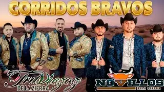 CORRIDOS PESADOS BIEN RECIOS 🔥 TRAVIEZOZ DE LA SIERRA + NOVILLOS DE LA SIERRA | MIX NUEVO 2026