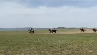 Аппаз ауылы 2022 жыл Асыл қанды тай бәйге!
