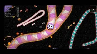worms zone io 75,817 record