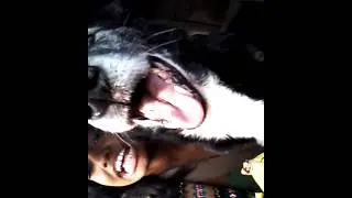 Tippi Azaelea ~ (Ep#11) Steve's Wild Hood Adventures