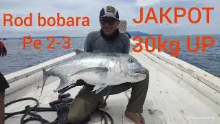 JAKPOT 30kg UP!!! BOBARA 2-3 RELIX NUSANTARA