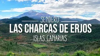 A la sombra del Teide visitamos 