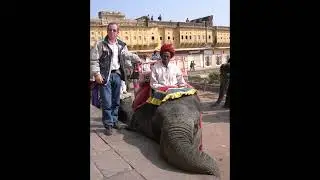 Fuerte de Amber Jaipur India fuerte amber jaipur elefante