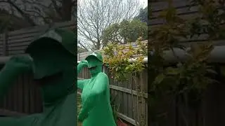 Charlie Day as Luigi. If you know, you know.