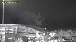 Creepy figures and a creepy face appear in this security cam on my brother's farm. 