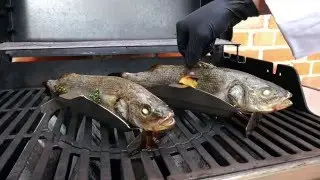 5 Sterne Fisch, Fischgriller, ohne Fischzange, bester Fischgrillhalter Fischhalter, mit Sudwanne