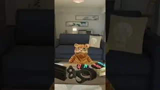 Leaving my cat home alone? (Funny Cat video) #Shorts #Funny #vrchat