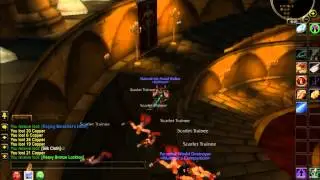 WoW Hunting #1 Tabard of the Scarlet Crusade