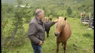 Hva gjør en ridelærer?