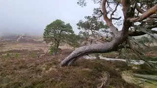 Backpacking in the Cairngorms. Glen Lui and Glen Dee