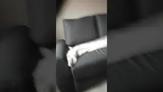 Poltronesofa  - Piepende zetel