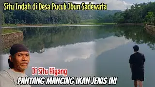 Di Situ Hiyang Sadewata Pantang Mancing Ikan Ini #alamdesa #pucukibunciamis