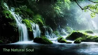 Forest Waterfall Sounds | Nature Ambience for Relaxation, Sleep & Focus | The Natural Soul