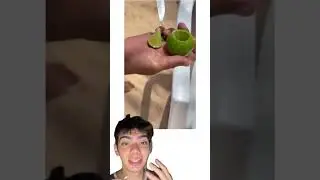 Descasque lim&atilde;o com tri&acirc;ngulo e aproveite o suco at&eacute; o fim! Simples, pr&aacute;tico e sem desperd&iacute;cio!