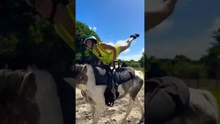 Popo 💩 en vacances &agrave; l&rsquo;&icirc;le Maurice fait un stage de voltige avec Elsa, coach de voltige Mauriders🐴