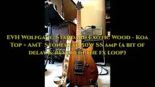 EVH Wolfgang Standard - Exotic Wood Series - Koa + AMT Stonehead 50W amp (delay & reverb in fx loop)