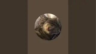 Ashley Ciais is live!