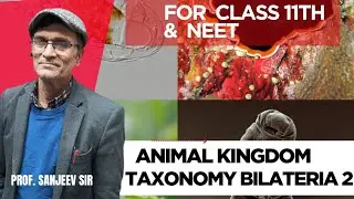 Animal kingdom Taxonomy ( Bilateria ) 2| #class11th  & #neet  | Omega Pro Classes |Prof Sanjeev  Sir