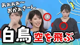【小川千奈】白鳥の指し棒を1日で破壊してしまい取り乱すせんちゃん【ウェザーニュース切り抜き】